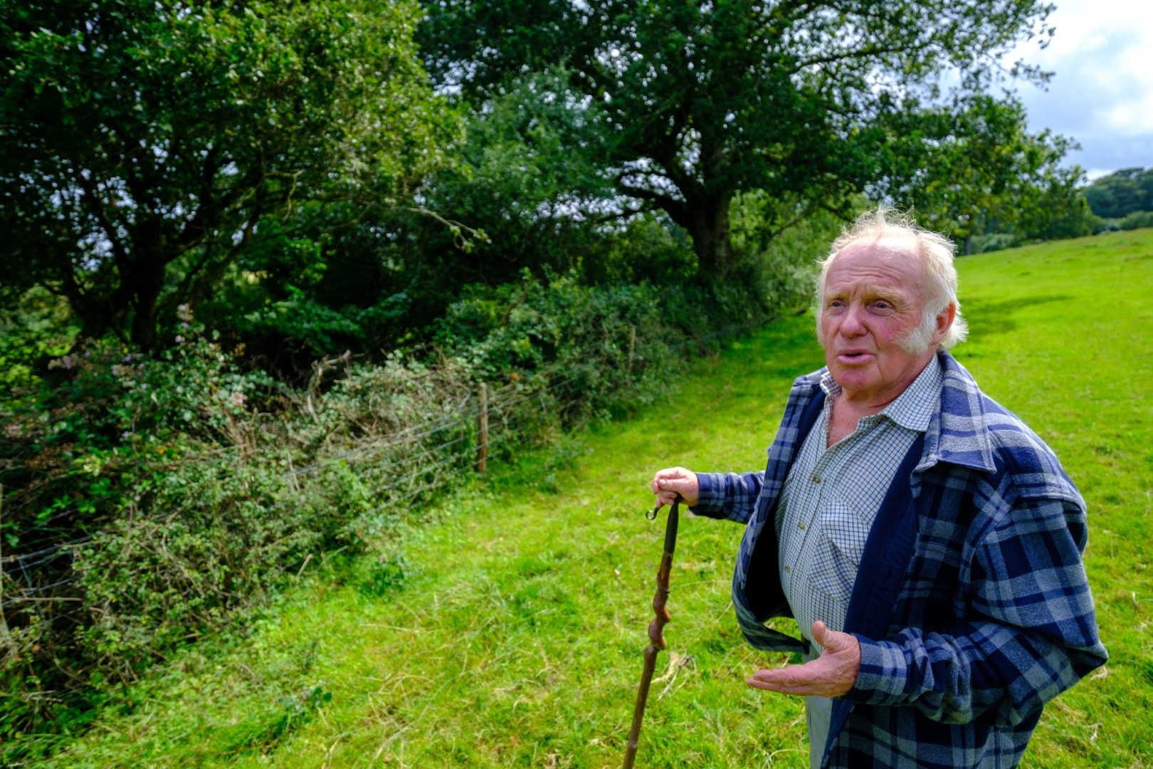 CPRE Sussex has appointed its first Hedgerow Champion - CPRE Sussex